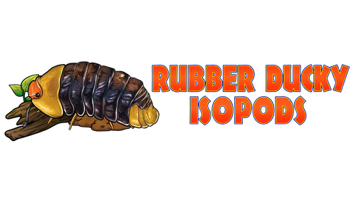 Rubber Ducky Isopods