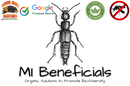 The Biodiversity Fungus Gnat Eradicator (Rove Beetle, Predatory Mites)