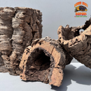 Virgin Cork Bark - Medium Rounds - Isopod & Reptile Hides | Bioactive Decor