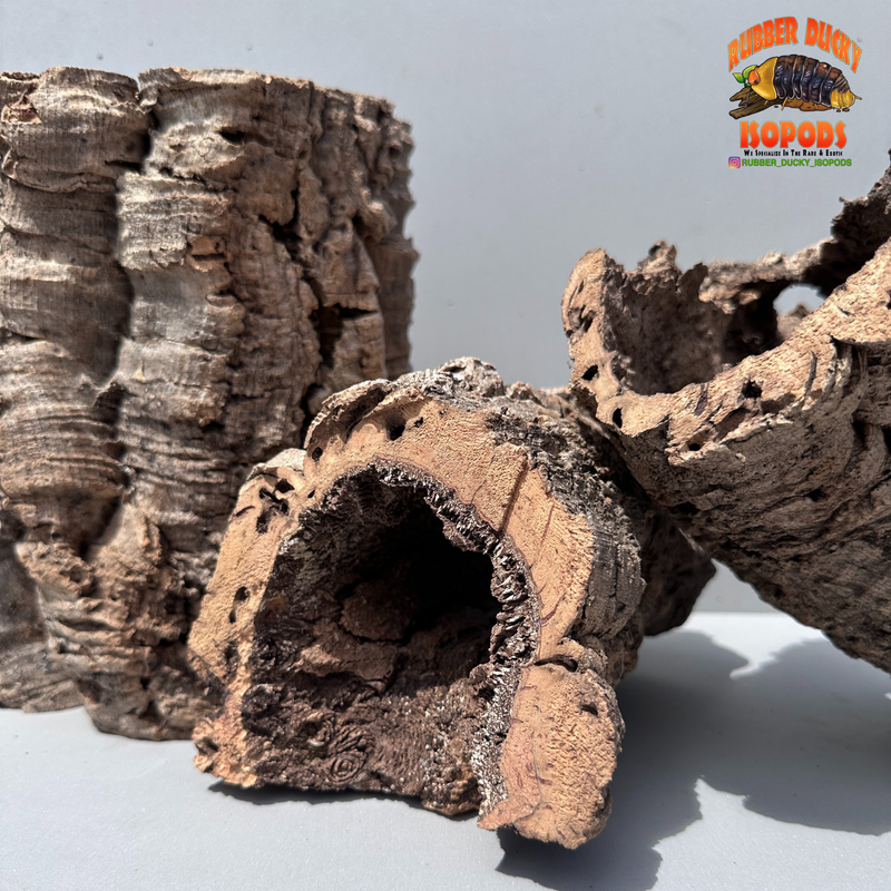 Virgin Cork Bark - Medium Rounds - Isopod & Reptile Hides | Bioactive Decor