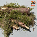 Mossy Sticks — Natural Decor Meets Organic Snack