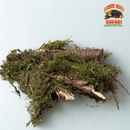 Mossy Sticks — Natural Decor Meets Organic Snack
