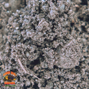 Worm Castings | Organic Microbe-Rich Soil for Isopods & Plants