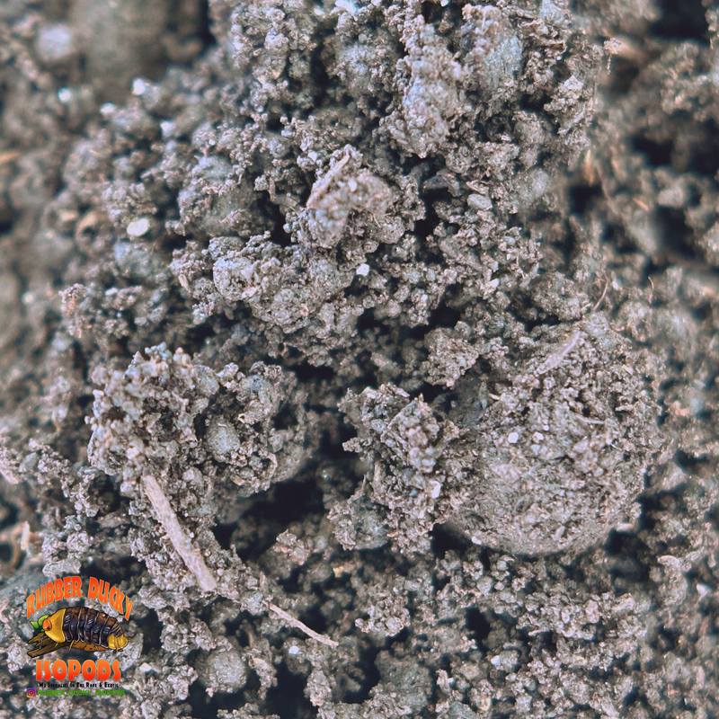 Worm Castings | Organic Microbe-Rich Soil for Isopods & Plants