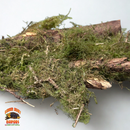 Mossy Sticks — Natural Decor Meets Organic Snack