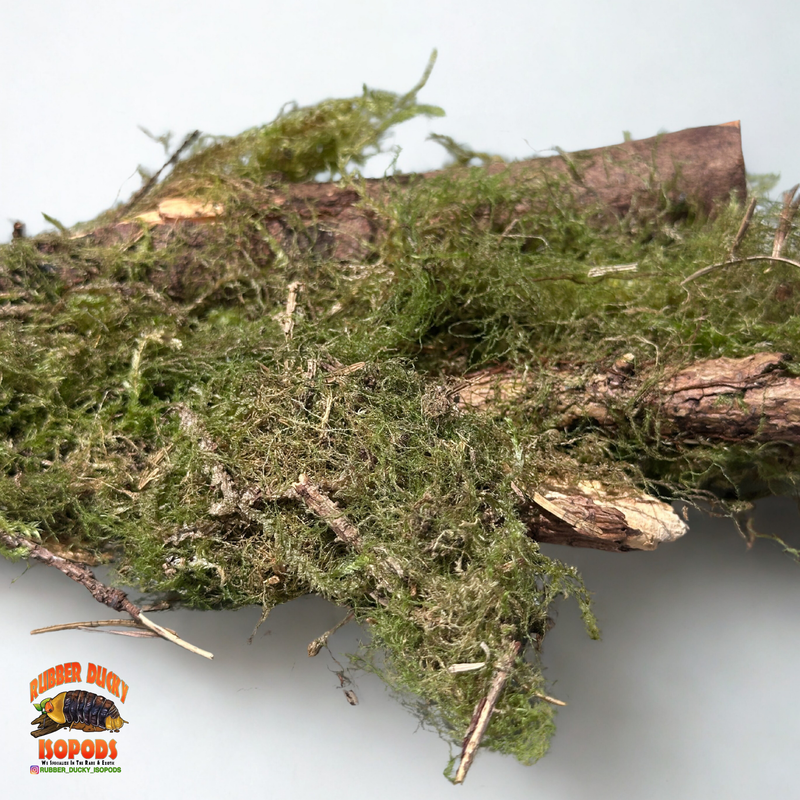 Mossy Sticks — Natural Decor Meets Organic Snack