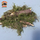 Mossy Sticks — Natural Decor Meets Organic Snack