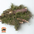 Mossy Sticks — Natural Decor Meets Organic Snack