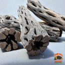 Cholla Wood – Natural Hides for Isopods, Reptiles & Bioactive Setups