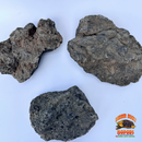 Icelandic Lava Rock – Bioactive-Ready Hardscape (1 lb / 3 lb)