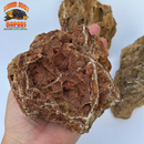 Maple Leaf Stone | Inert Natural Hardscape for Bioactive Terrariums & Aquariums