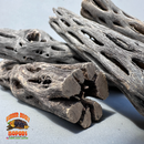 Cholla Wood – Natural Hides for Isopods, Reptiles & Bioactive Setups
