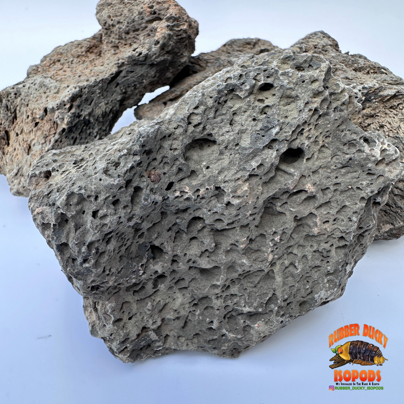 Icelandic Lava Rock – Bioactive-Ready Hardscape (1 lb / 3 lb)