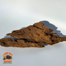 Malaysian Driftwood | Natural Hardwood Decor for Isopods, Reptiles & Terrariums