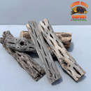 Cholla Wood – Natural Hides for Isopods, Reptiles & Bioactive Setups