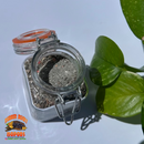 Isopod & Springtail Breeding Superfood (Hand-Made Here In Denver)