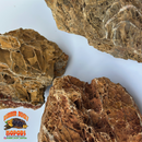 Maple Leaf Stone | Inert Natural Hardscape for Bioactive Terrariums & Aquariums