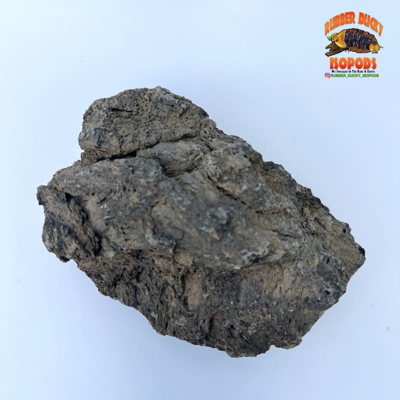Icelandic Lava Rock – Bioactive-Ready Hardscape (1 lb / 3 lb)