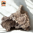 Virgin Cork Bark - Medium Rounds - Isopod & Reptile Hides | Bioactive Decor
