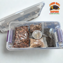Bio-Active Isopod Soil Starter Kit Complete WITH Your Isopod Choice