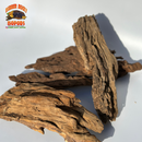 Malaysian Driftwood | Natural Hardwood Decor for Isopods, Reptiles & Terrariums