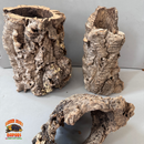 Virgin Cork Bark - Medium Rounds - Isopod & Reptile Hides | Bioactive Decor