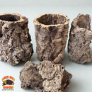 Virgin Cork Bark - Medium Rounds - Isopod & Reptile Hides | Bioactive Decor