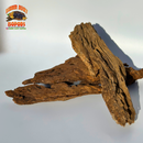Malaysian Driftwood | Natural Hardwood Decor for Isopods, Reptiles & Terrariums