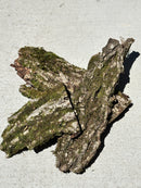 Mossy Bark — Natural Decor Meets Organic Snack