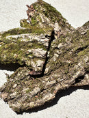 Mossy Bark — Natural Decor Meets Organic Snack