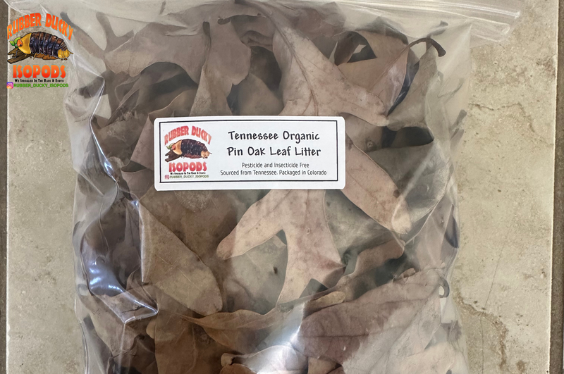 Pin Oak Organic Leaf Litter (Tennessee Mountains Elevation 5,512)