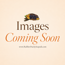 Maple Leaf Litter | Natural Bioactive Element