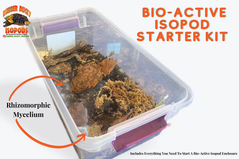 Bio-Active Isopod Soil Starter Kit Complete WITH Your Isopod Choice