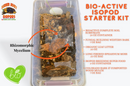Bio-Active Isopod Soil Starter Kit Complete WITH Your Isopod Choice