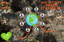 Bio-Active Isopod Soil Starter Kit Complete WITH Your Isopod Choice